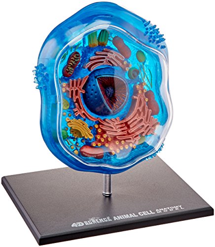 Famemaster 4D-Science Animal Cell Anatomy Model