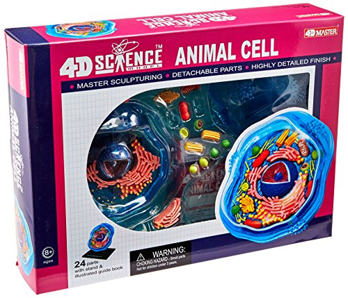 Famemaster 4D-Science Animal Cell Anatomy Model